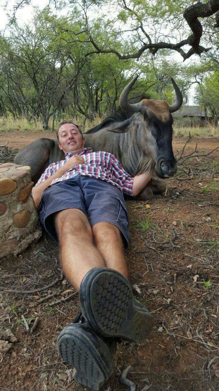 Sun Acres Farm owner Hendrik-Jan Groeneveldlying with a wildebeest in the bush, Dinokeng