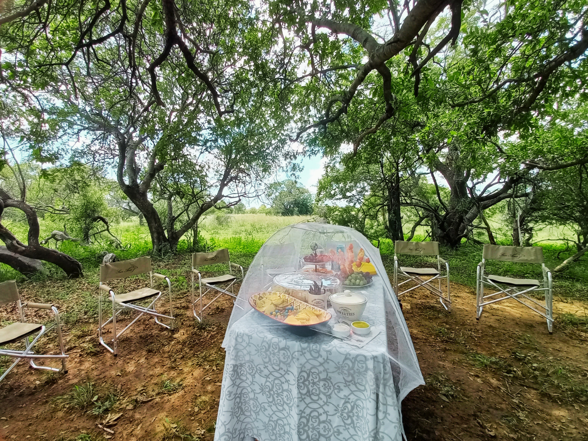 Picnic-style bush lunch under shady tree at Sun Acres Farm